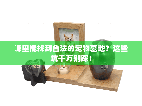 哪里能找到合法的宠物墓地?这些坑千万别踩! 哪里能找到合法的宠物墓地?这些坑千万别踩!