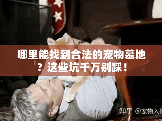 哪里能找到合法的宠物墓地?这些坑千万别踩! 哪里能找到合法的宠物墓地?这些坑千万别踩!