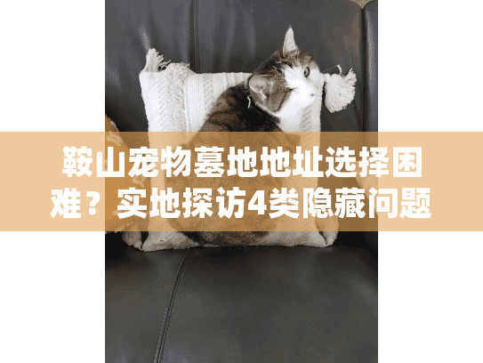 鞍山宠物墓地地址选择困难？实地探访4类隐藏问题揭露