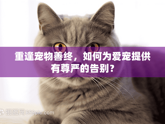 重逢宠物善终，如何为爱宠提供有尊严的告别？