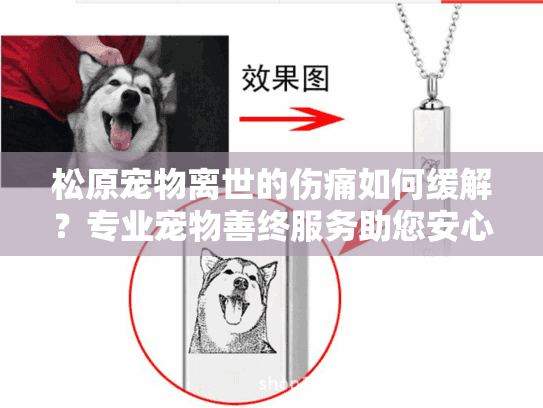 松原宠物离世的伤痛如何缓解？专业宠物善终服务助您安心告别