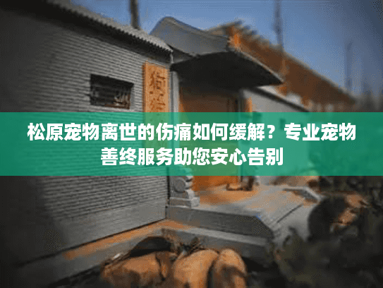 松原宠物离世的伤痛如何缓解？专业宠物善终服务助您安心告别