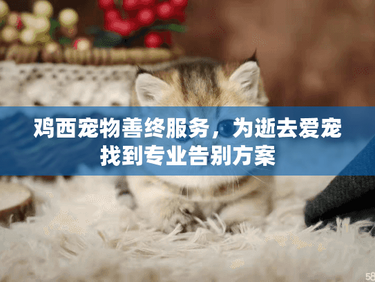 鸡西宠物善终服务，为逝去爱宠找到专业告别方案