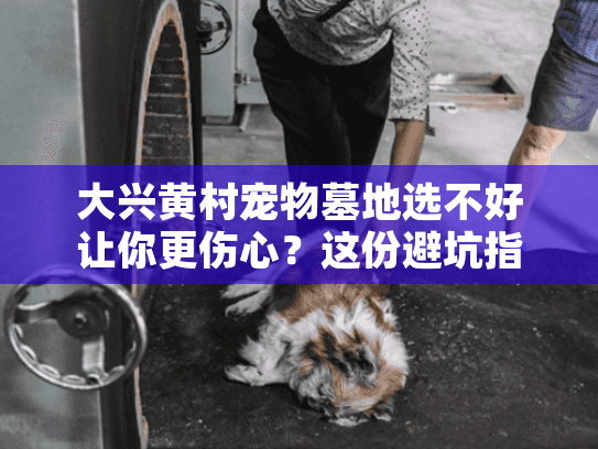 大兴黄村宠物墓地选不好让你更伤心？这份避坑指南请收好