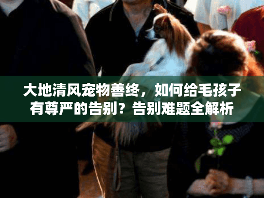 大地清风宠物善终，如何给毛孩子有尊严的告别？告别难题全解析