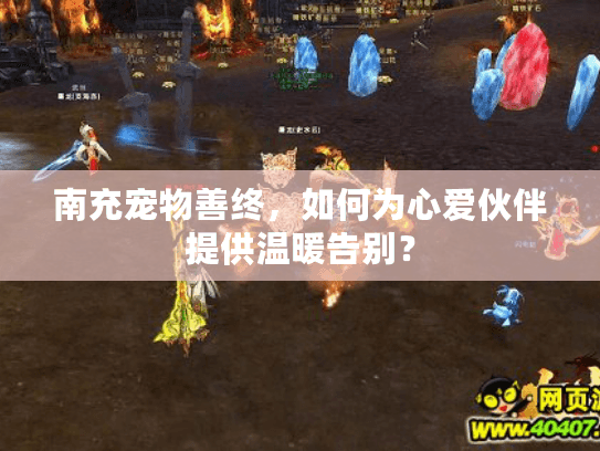 南充宠物善终，如何为心爱伙伴提供温暖告别？