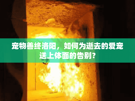宠物善终洛阳，如何为逝去的爱宠送上体面的告别？