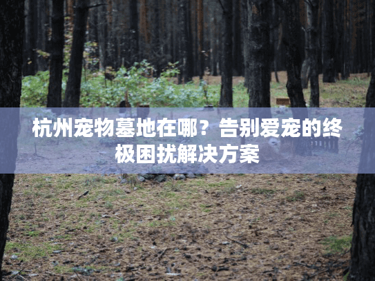杭州宠物墓地在哪？告别爱宠的终极困扰解决方案