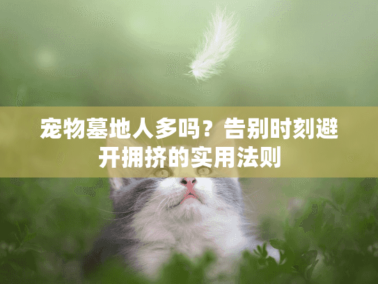 宠物墓地人多吗？告别时刻避开拥挤的实用法则