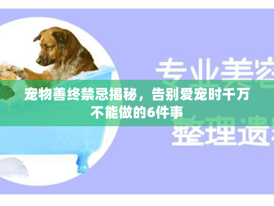 宠物善终禁忌揭秘，告别爱宠时千万不能做的6件事