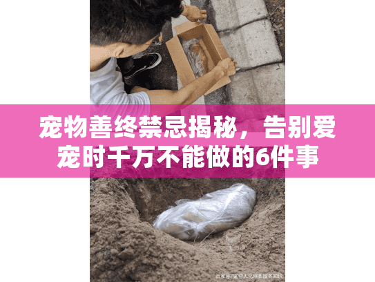 宠物善终禁忌揭秘，告别爱宠时千万不能做的6件事