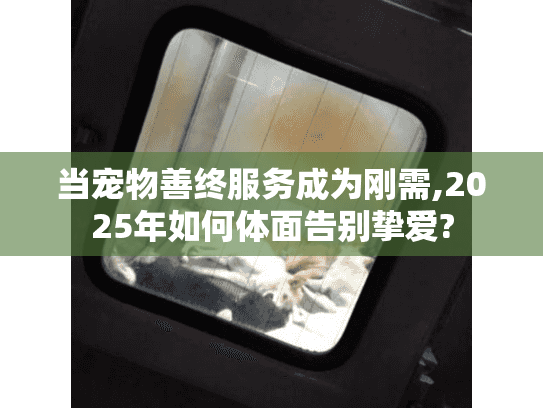 当宠物善终服务成为刚需,2025年如何体面告别挚爱?