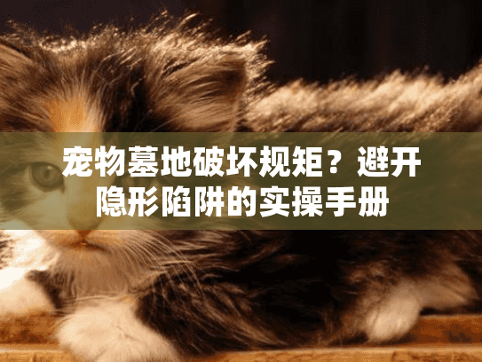 宠物墓地破坏规矩?避开隐形陷阱的实操手册 宠物墓地破坏规矩?避开隐形陷阱的实操手册