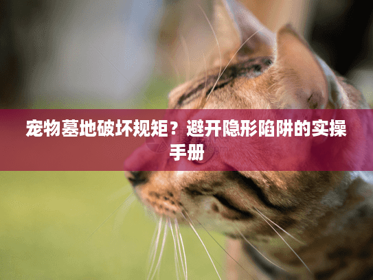 宠物墓地破坏规矩?避开隐形陷阱的实操手册 宠物墓地破坏规矩?避开隐形陷阱的实操手册