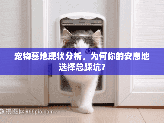 宠物墓地现状分析,为何你的安息地选择总踩坑? 宠物墓地现状分析,为何你的安息地选择总踩坑?