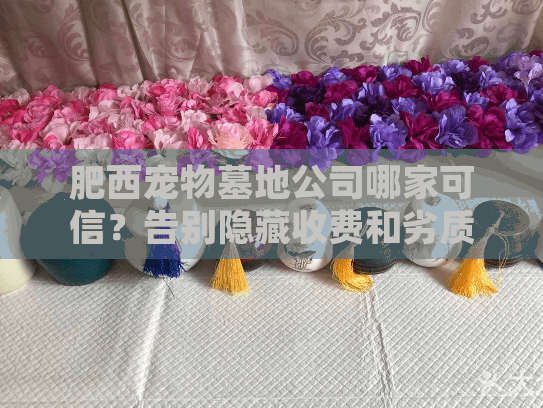 肥西宠物墓地公司哪家可信?告别隐藏收费和劣质服务陷阱! 肥西宠物墓地公司哪家可信?告别隐藏收费和劣质服务陷阱!