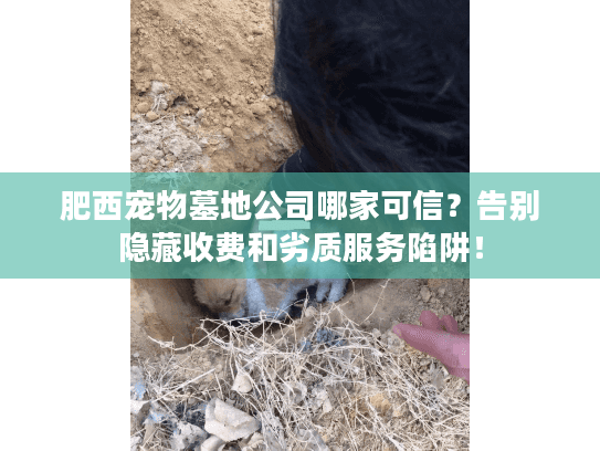 肥西宠物墓地公司哪家可信?告别隐藏收费和劣质服务陷阱! 肥西宠物墓地公司哪家可信?告别隐藏收费和劣质服务陷阱!