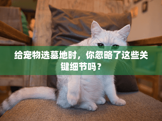 给宠物选墓地时，你忽略了这些关键细节吗？