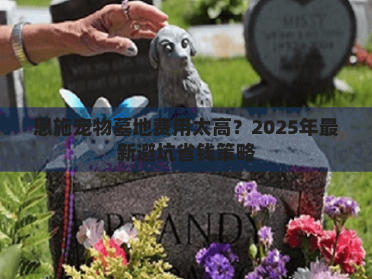恩施宠物墓地费用太高？2025年最新避坑省钱策略