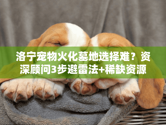 洛宁宠物火化墓地选择难？资深顾问3步避雷法+稀缺资源实测