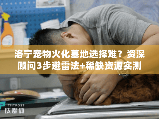 洛宁宠物火化墓地选择难？资深顾问3步避雷法+稀缺资源实测