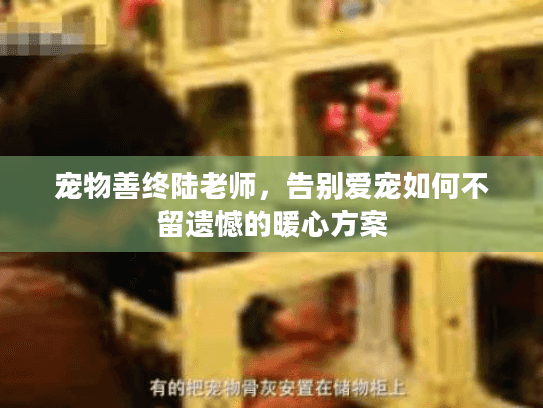 宠物善终陆老师，告别爱宠如何不留遗憾的暖心方案