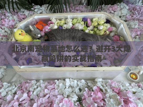 北京南宠物墓地怎么选？避开3大隐藏陷阱的实战指南