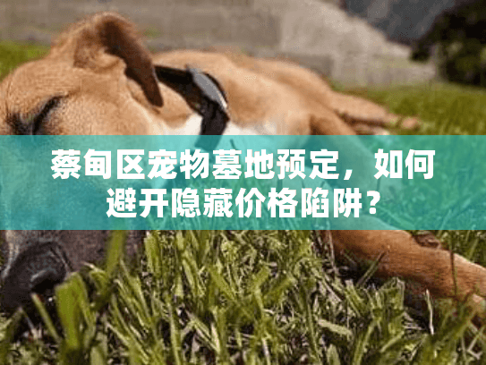 蔡甸区宠物墓地预定，如何避开隐藏价格陷阱？