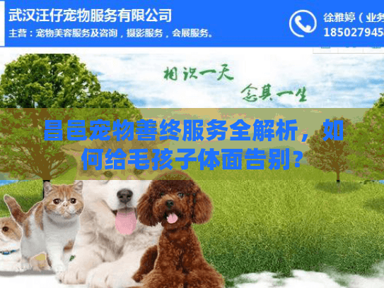 昌邑宠物善终服务全解析，如何给毛孩子体面告别？