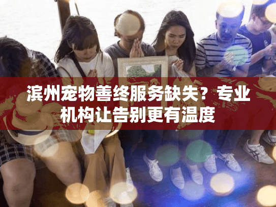 滨州宠物善终服务缺失？专业机构让告别更有温度