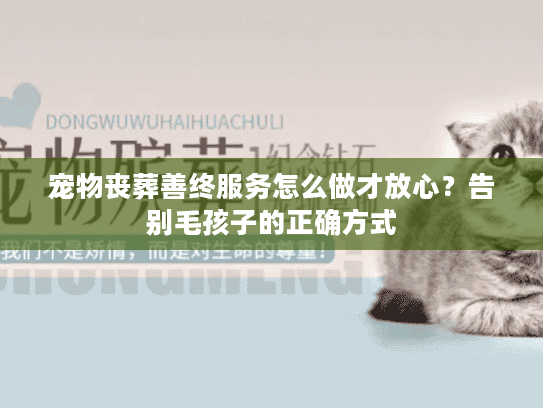 宠物丧葬善终服务怎么做才放心？告别毛孩子的正确方式