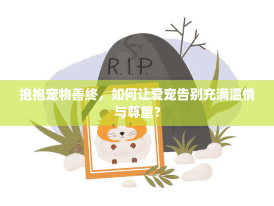 抱抱宠物善终，如何让爱宠告别充满温情与尊重？