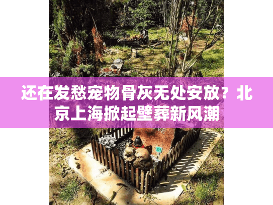 还在发愁宠物骨灰无处安放？北京上海掀起壁葬新风潮
