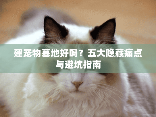 建宠物墓地好吗？五大隐藏痛点与避坑指南