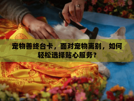 宠物善终台卡，面对宠物离别，如何轻松选择贴心服务？