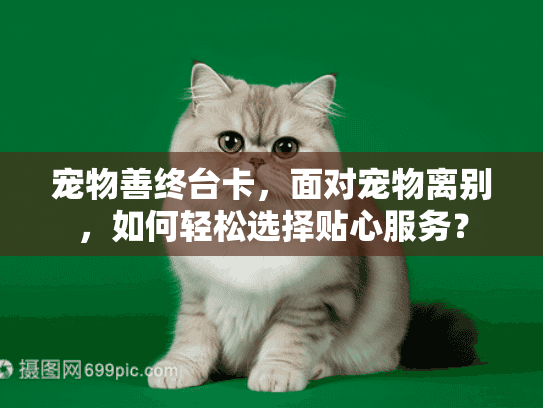 宠物善终台卡，面对宠物离别，如何轻松选择贴心服务？