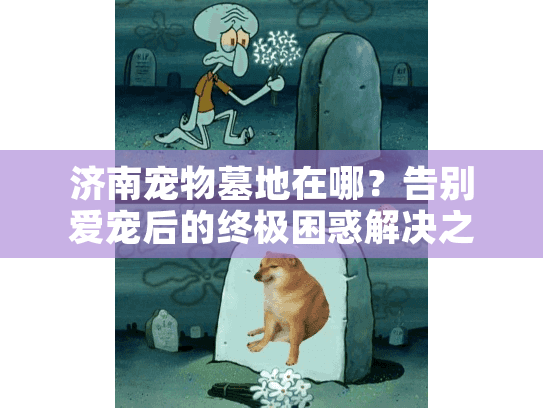 济南宠物墓地在哪？告别爱宠后的终极困惑解决之道