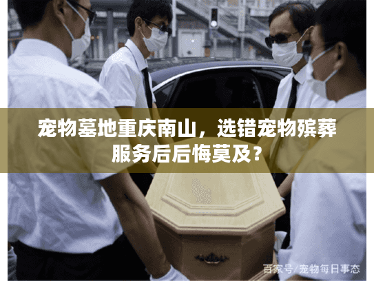 宠物墓地重庆南山，选错宠物殡葬服务后后悔莫及？