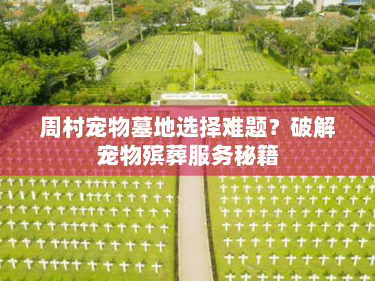 周村宠物墓地选择难题?破解宠物殡葬服务秘籍 周村宠物墓地选择难题?破解宠物殡葬服务秘籍