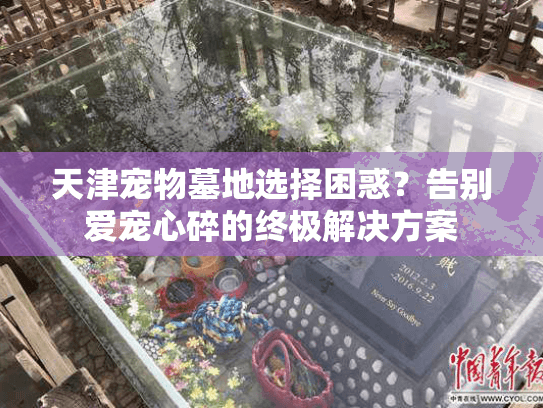 天津宠物墓地选择困惑？告别爱宠心碎的终极解决方案