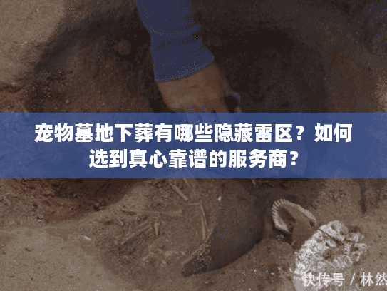 宠物墓地下葬有哪些隐藏雷区？如何选到真心靠谱的服务商？