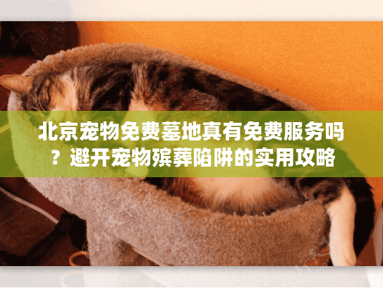 北京宠物免费墓地真有免费服务吗？避开宠物殡葬陷阱的实用攻略