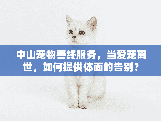 中山宠物善终服务，当爱宠离世，如何提供体面的告别？