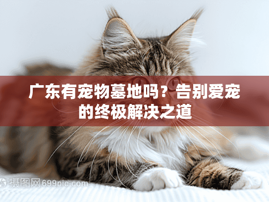 广东有宠物墓地吗？告别爱宠的终极解决之道