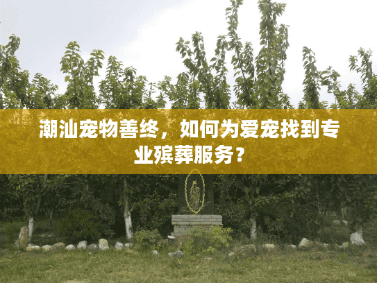 潮汕宠物善终，如何为爱宠找到专业殡葬服务？