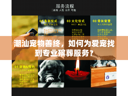 潮汕宠物善终，如何为爱宠找到专业殡葬服务？