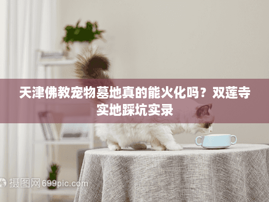 天津佛教宠物墓地真的能火化吗？双莲寺实地踩坑实录