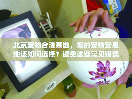 北京宠物合法墓地，你的宠物安息地该如何选择？避免这些常见错误！