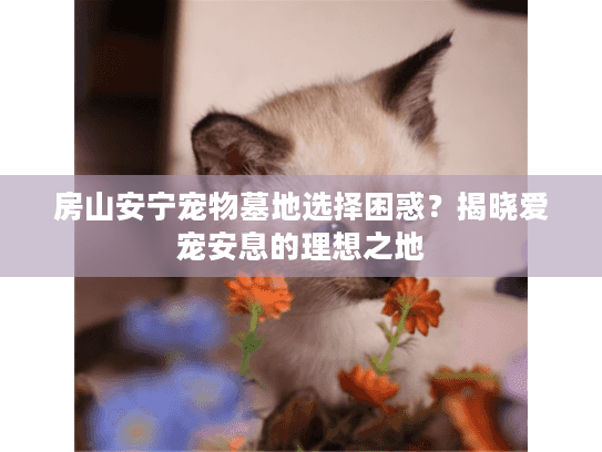 房山安宁宠物墓地选择困惑？揭晓爱宠安息的理想之地
