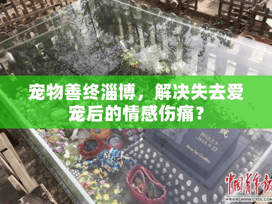 宠物善终淄博，解决失去爱宠后的情感伤痛？